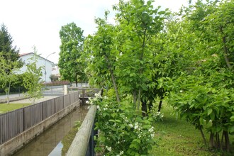 Casa sul Piave