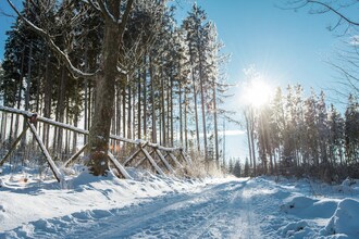Lipno Nova Lake Resort B