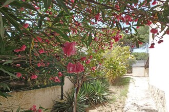 Villa Sonni