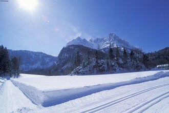 Alp Zentral