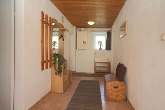 Steiner 1