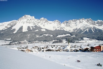 Steiner 2