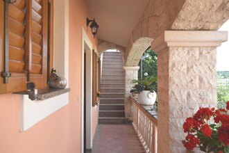 Apartman Petra 5