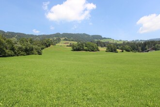 Wirtheim