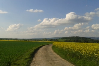 Sächsische Schweiz