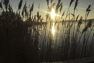 Lake house