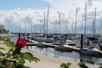 Seerose in Klütz