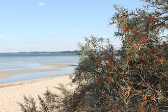 Ferienwohnung mit Garten Strandnah