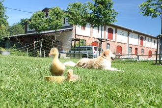 Ferienwohnung im denkmalgeschützten Bauernhaus