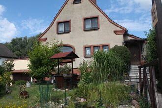 Blütenzauber
