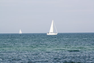 Blütenzauber