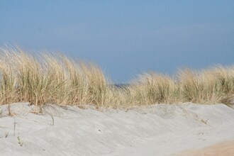 Strandnahe Ferienwohnung
