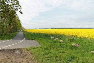 Grüner Winkel