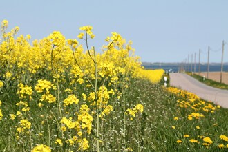 Klützer Eck 1