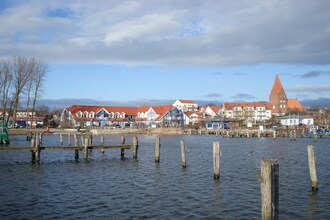 Der Seestern rechts/ Sandstrand