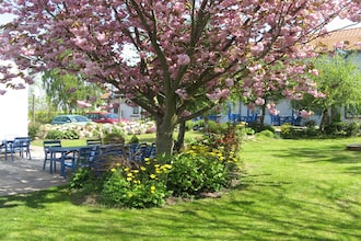 Terrassenwohnung 1