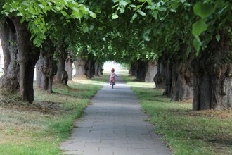 Im Grünen 1 mit Garten im Klützer Winkel