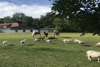 Ferien bei Ostseebad Kühlungsborn 2