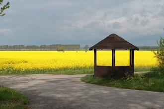 Neue Reihe