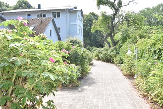 Haus am Kap Nordperd mit 2 Stränden Nr 4
