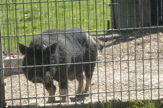 Die Reiterstube