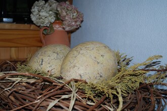4-Raum-Wohnung Rügen
