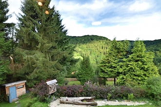 Harz