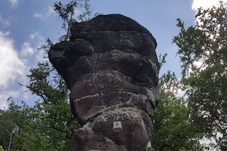 Harz