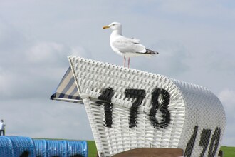 Das Ostseehaus Seepferdchen