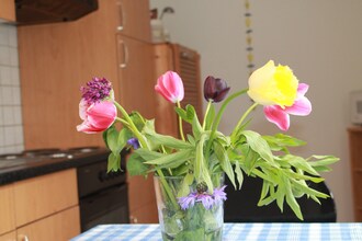 Das DarßHaus mit Kamin und Garten