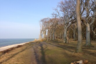 Terrassenwohnung/ Strand 216