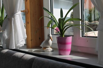 Urlaub in der Villa - Ferienwohnung strandnah 215