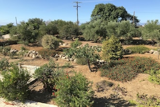 Villa Itia