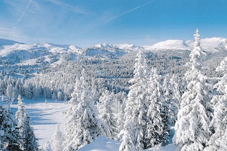 Holiday home in Austria