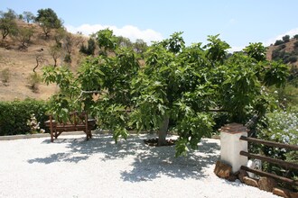 Finca Tranquila