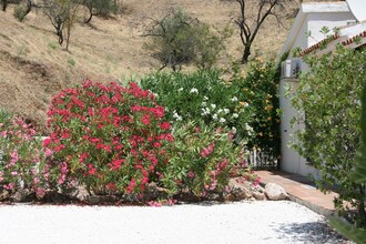 Finca Tranquila