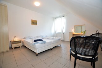 Vila Nemojov