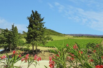 Gîte de luxe dans les vignes 5