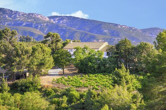 Gîte de luxe dans les vignes 5