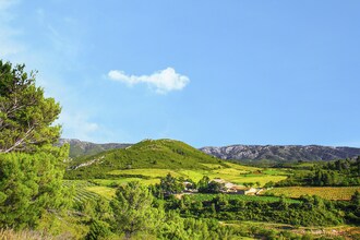 Gîte de luxe dans les vignes 5