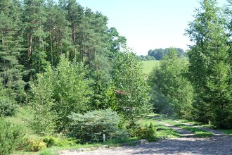 Masurian habitat