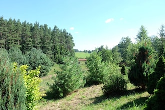 Masurian habitat