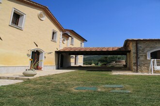 Olivo