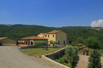 Olivo