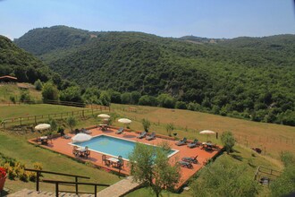 Olivo