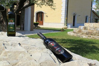 Olivo