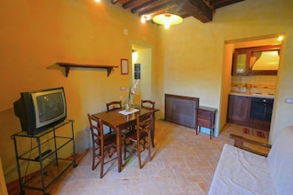 Olivo