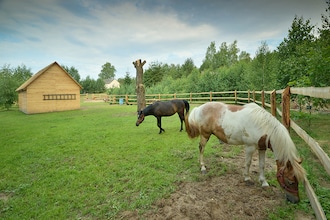 Holiday Home Skrzynia 2