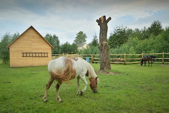 Holiday Home Skrzynia 2