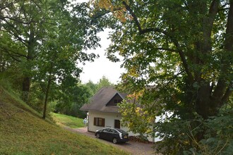 Kieboom